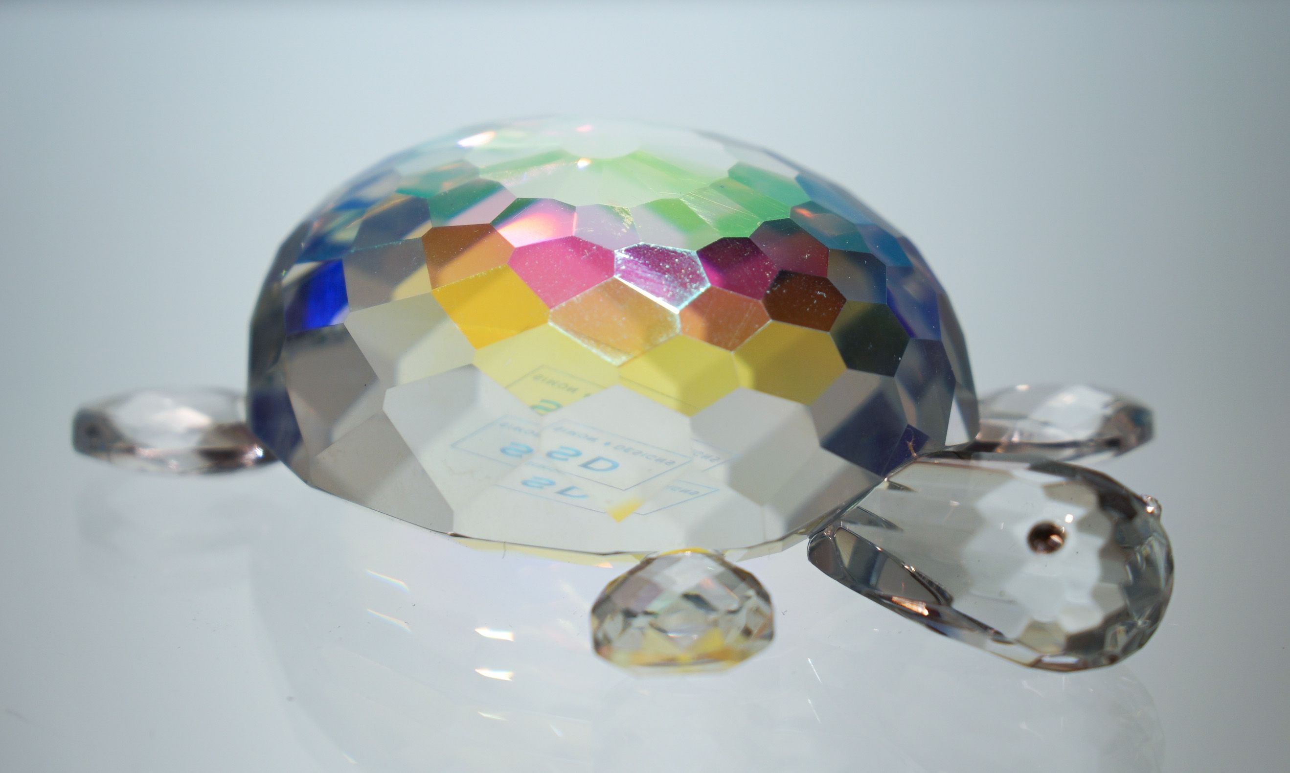 Schildkröte irisierend