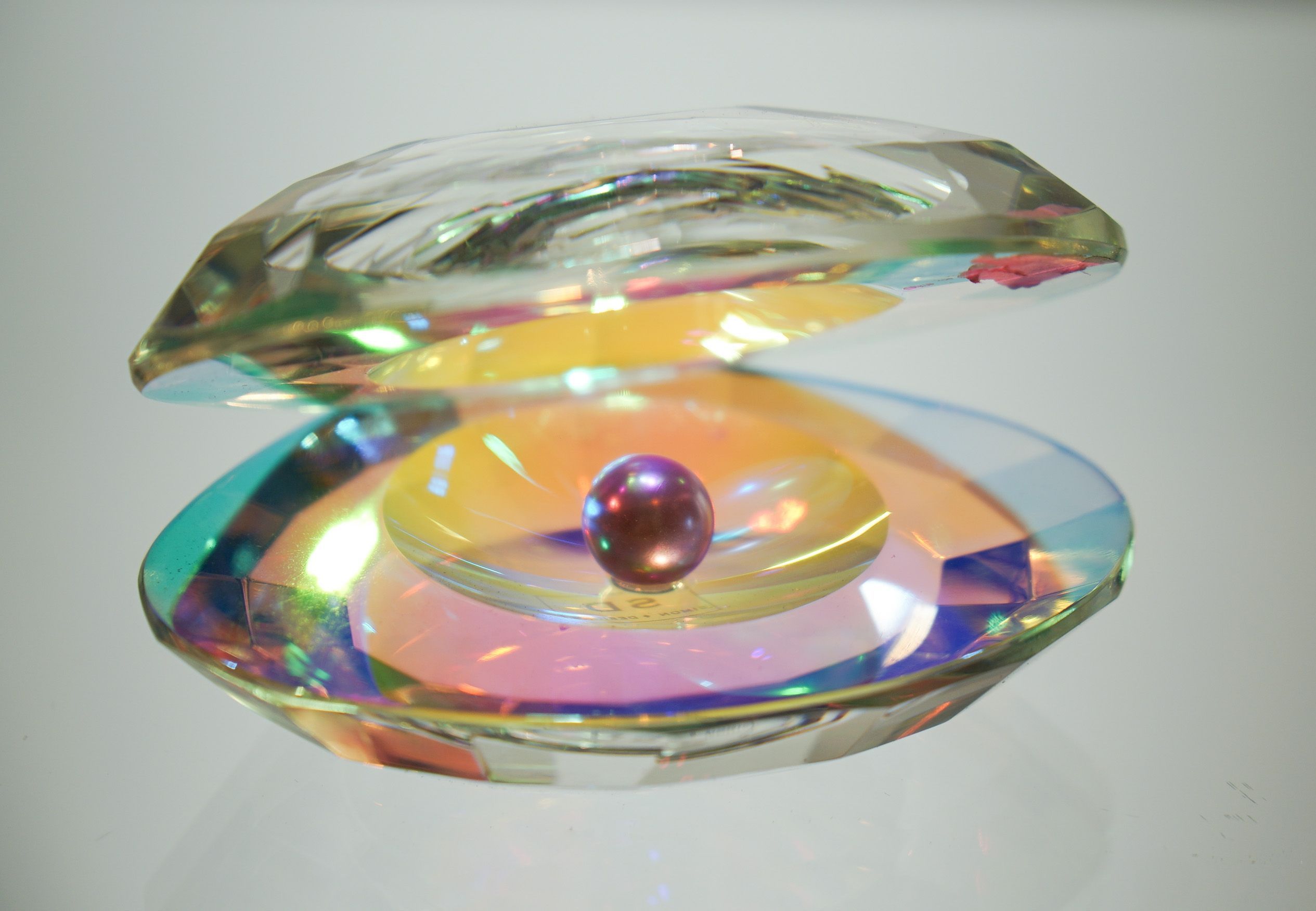 Auster mit Perle, irisierend